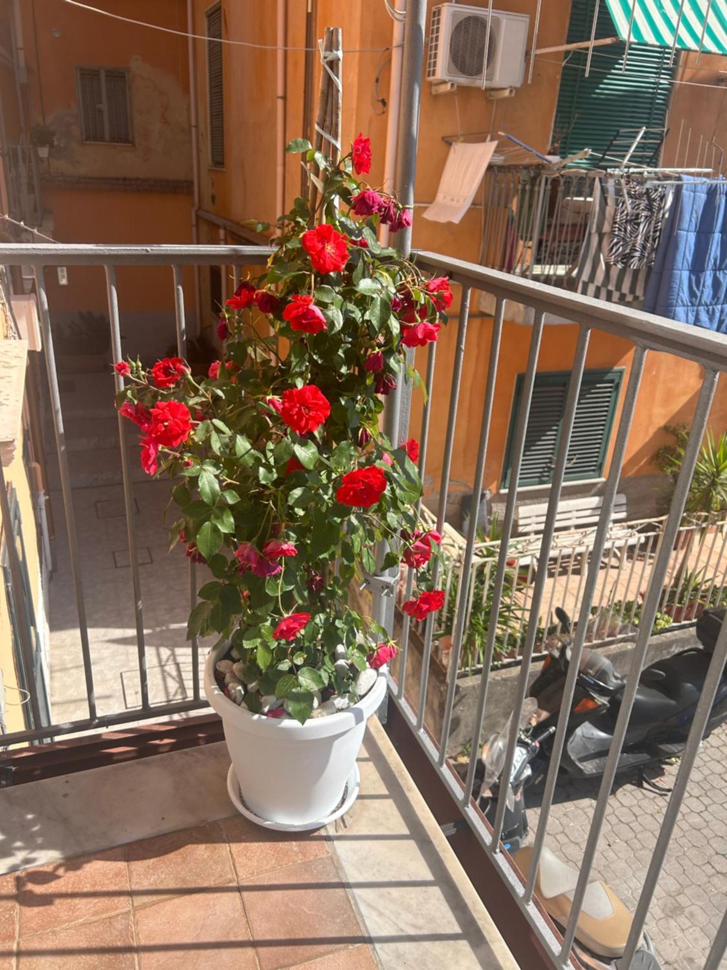 Sissi House Salerno Apartman Kültér fotó