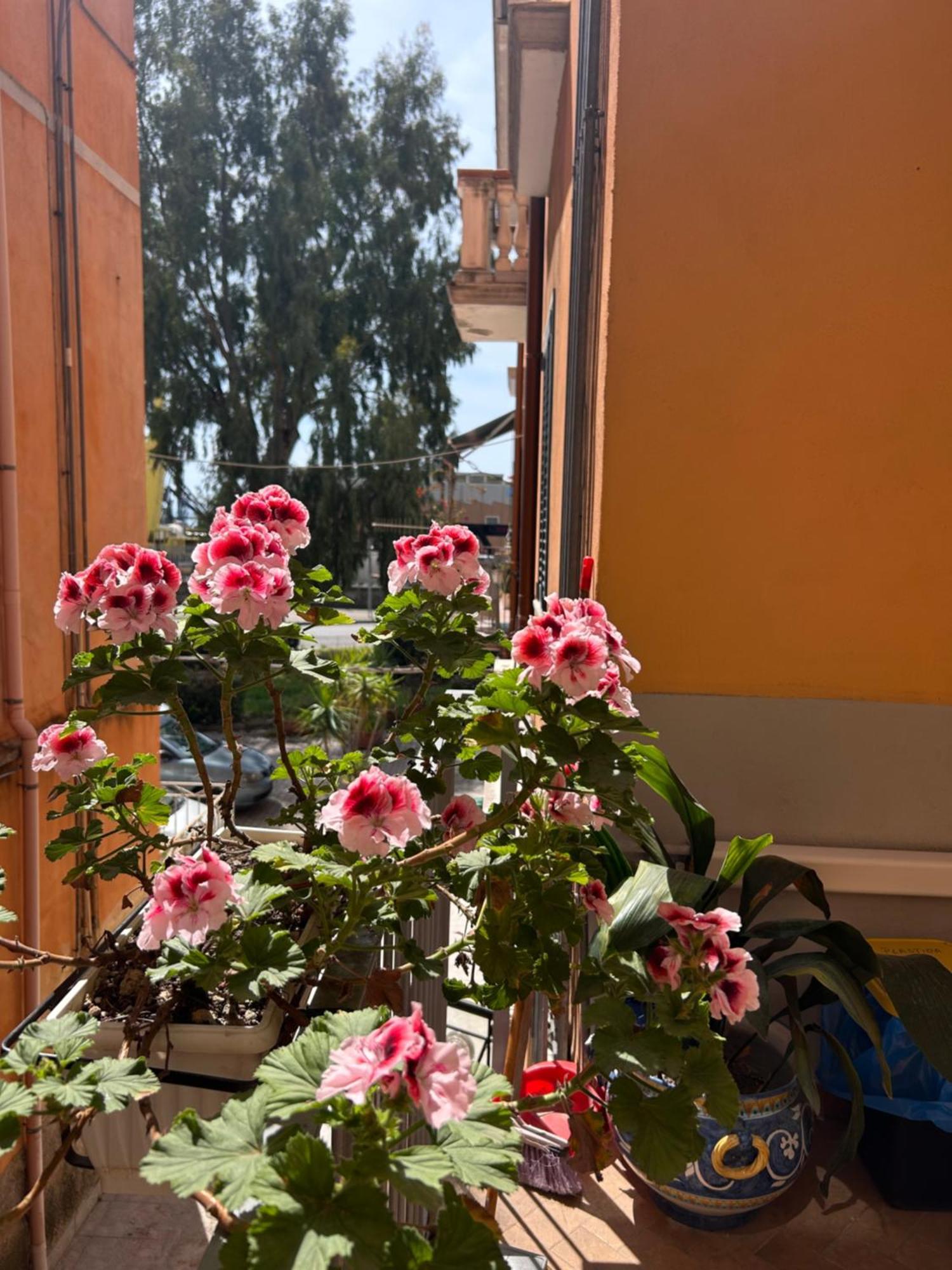 Sissi House Salerno Apartman Kültér fotó
